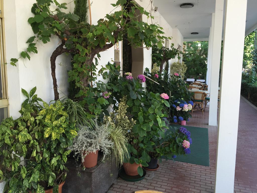Hotel Villa Verde San Mauro Mare 外观 照片